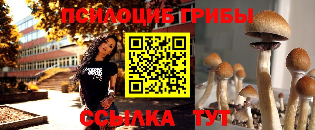 Галлюциногенные грибы Magic Shrooms  Вход с VPN  Коряжма 